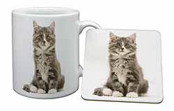 Cute Tabby Kitten Mug and Coaster Set