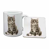 Cute Tabby Kitten Mug and Coaster Set