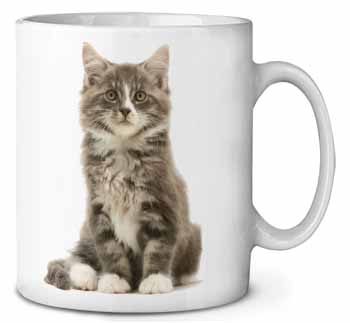 Cute Tabby Kitten Ceramic 10oz Coffee Mug/Tea Cup