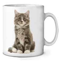 Cute Tabby Kitten Ceramic 10oz Coffee Mug/Tea Cup