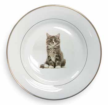 Cute Tabby Kitten Gold Rim Plate Printed Full Colour in Gift Box