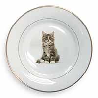 Cute Tabby Kitten Gold Rim Plate Printed Full Colour in Gift Box