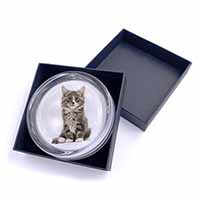 Cute Tabby Kitten Glass Paperweight in Gift Box