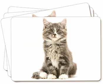 Cute Tabby Kitten Picture Placemats in Gift Box