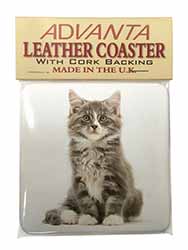 Cute Tabby Kitten Single Leather Photo Coaster