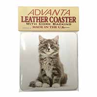 Cute Tabby Kitten Single Leather Photo Coaster