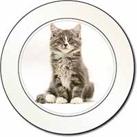 Cute Tabby Kitten Car or Van Permit Holder/Tax Disc Holder