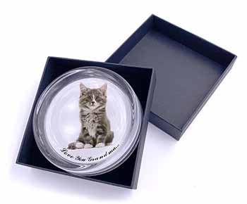 Silver Tabby Cat 