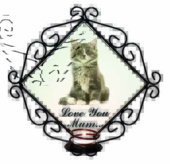 Silver Tabby Cat 