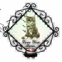 Silver Tabby Cat 