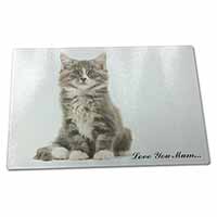 Large Glass Cutting Chopping Board Silver Tabby Cat 