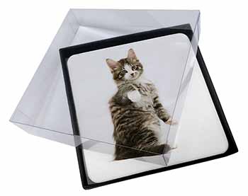 4x Good Luck Paw Up Cat Picture Table Coasters Set in Gift Box