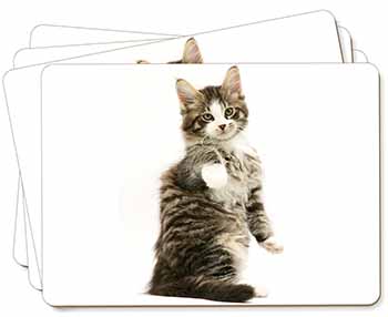 Good Luck Paw Up Cat Picture Placemats in Gift Box