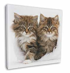 Kittens in White Fur Hat Square Canvas 12"x12" Wall Art Picture Print