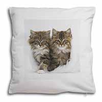 Kittens in White Fur Hat Soft White Velvet Feel Scatter Cushion