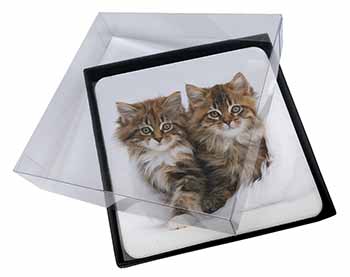 4x Kittens in White Fur Hat Picture Table Coasters Set in Gift Box