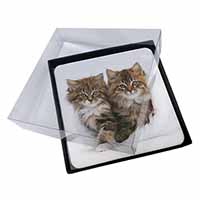 4x Kittens in White Fur Hat Picture Table Coasters Set in Gift Box