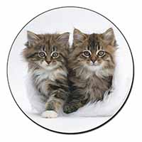 Kittens in White Fur Hat Fridge Magnet Printed Full Colour