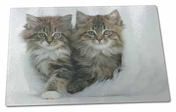 Large Glass Cutting Chopping Board Kittens in White Fur Hat