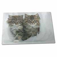 Large Glass Cutting Chopping Board Kittens in White Fur Hat