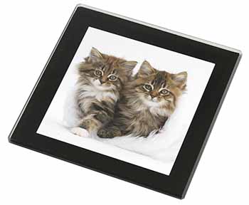 Kittens in White Fur Hat Black Rim High Quality Glass Coaster