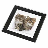 Kittens in White Fur Hat Black Rim High Quality Glass Coaster