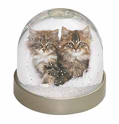 Kittens in White Fur Hat Snow Globe Photo Waterball