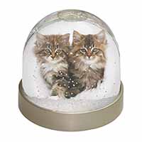 Kittens in White Fur Hat Snow Globe Photo Waterball