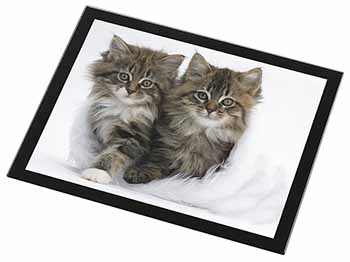 Kittens in White Fur Hat Black Rim High Quality Glass Placemat