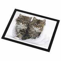 Kittens in White Fur Hat Black Rim High Quality Glass Placemat