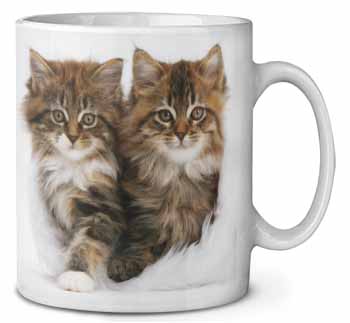 Kittens in White Fur Hat Ceramic 10oz Coffee Mug/Tea Cup