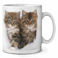 Kittens in White Fur Hat Ceramic 10oz Coffee Mug/Tea Cup