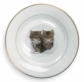 Kittens in White Fur Hat Gold Rim Plate Printed Full Colour in Gift Box