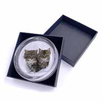 Kittens in White Fur Hat Glass Paperweight in Gift Box