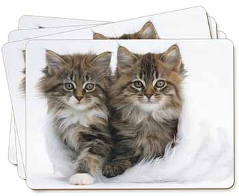 Kittens in White Fur Hat Picture Placemats in Gift Box