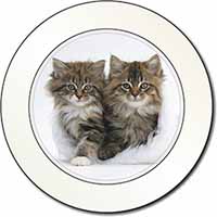 Kittens in White Fur Hat Car or Van Permit Holder/Tax Disc Holder