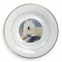 Samoyed and Cat Gold Rim Plate Printed Full Colour in Gift Box