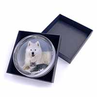 Samoyed and Cat Glass Paperweight in Gift Box