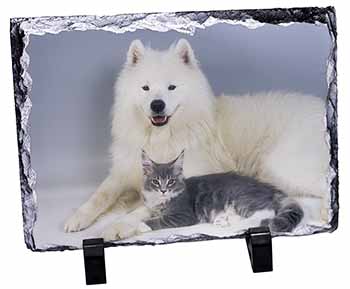 Samoyed and Cat, Stunning Photo Slate