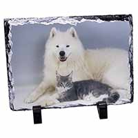 Samoyed and Cat, Stunning Animal Photo Slate