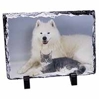 Samoyed and Cat, Stunning Photo Slate