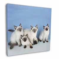 Ragdoll Kittens Square Canvas 12"x12" Wall Art Picture Print