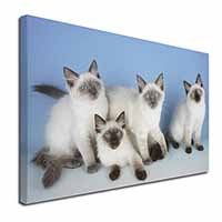 Ragdoll Kittens Canvas X-Large 30"x20" Wall Art Print