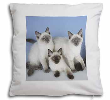 Ragdoll Kittens Soft White Velvet Feel Scatter Cushion