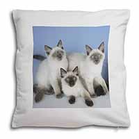 Ragdoll Kittens Soft White Velvet Feel Scatter Cushion