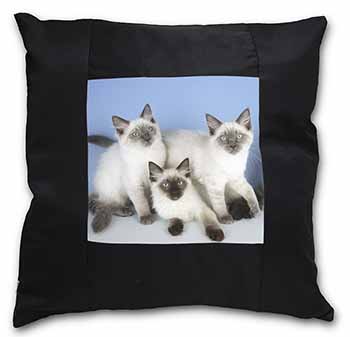 Ragdoll Kittens Black Satin Feel Scatter Cushion