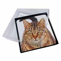 4x Face of Brown Tabby Cat Picture Table Coasters Set in Gift Box