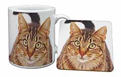 Face of Brown Tabby Cat Mug and Coaster Set