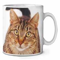 Face of Brown Tabby Cat Ceramic 10oz Coffee Mug/Tea Cup