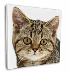 Face of Brown Tabby Cat Square Canvas 12"x12" Wall Art Picture Print